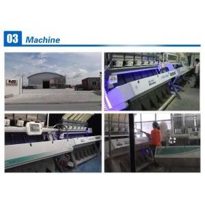 Customized color sorting machinery